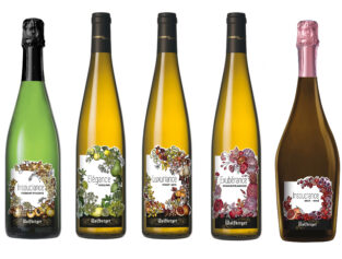 {{brizy_dc_image_alt imageSrc=